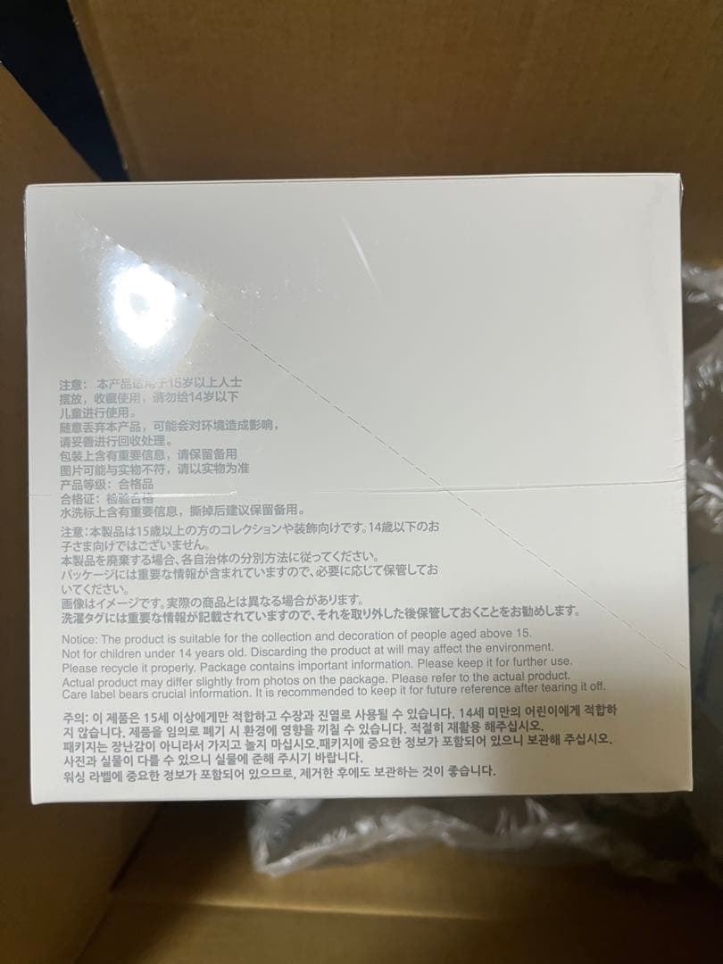 THE MONSTERS Big into Energyアソート2箱　ラブブ