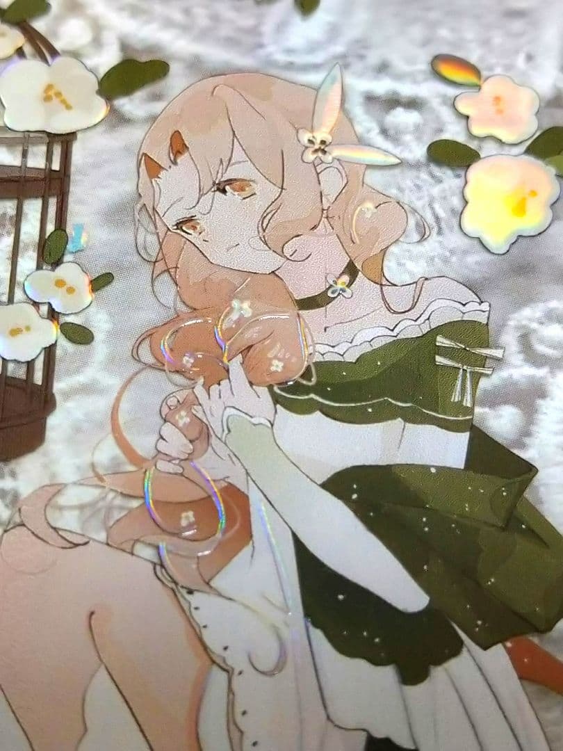 J255＃小步舞曲(虹光)不睡觉世界冠军切り売り海外人物マステ女の子