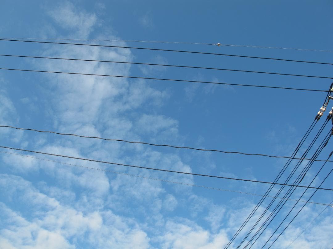 Canon Power Shot G11（充電器、バッテリ付属）