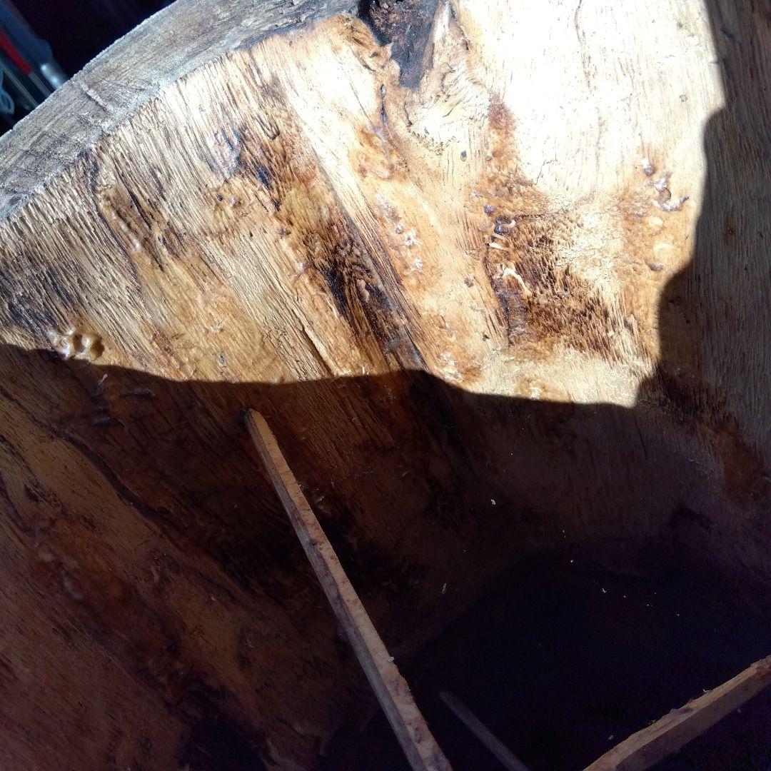 天然木製(桐材)円筒形採集道具 桐 丸洞 みつばち捕獲兼用飼育箱