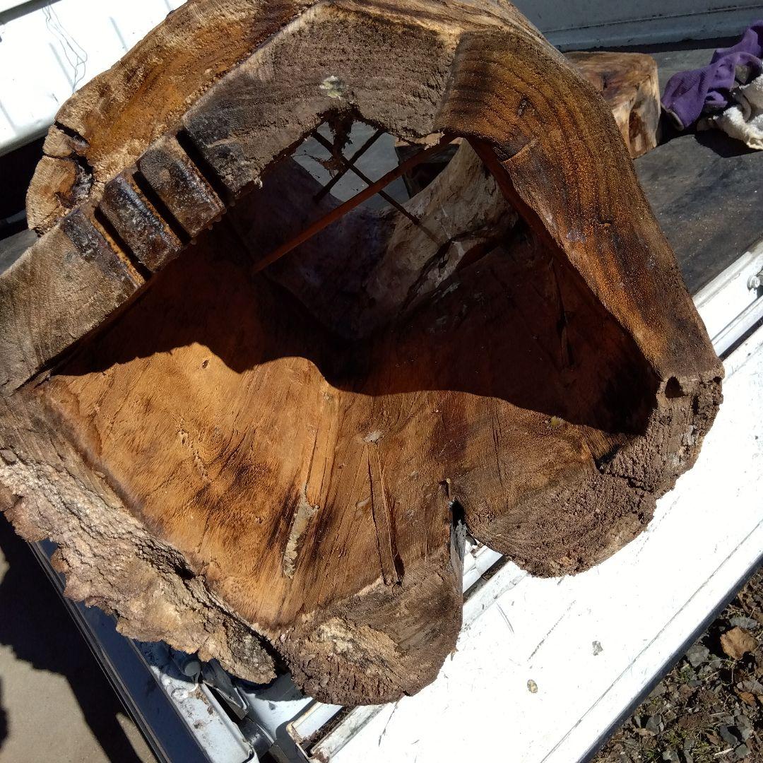 天然木製(桐材)円筒形採集道具 桐 丸洞 みつばち捕獲兼用飼育箱