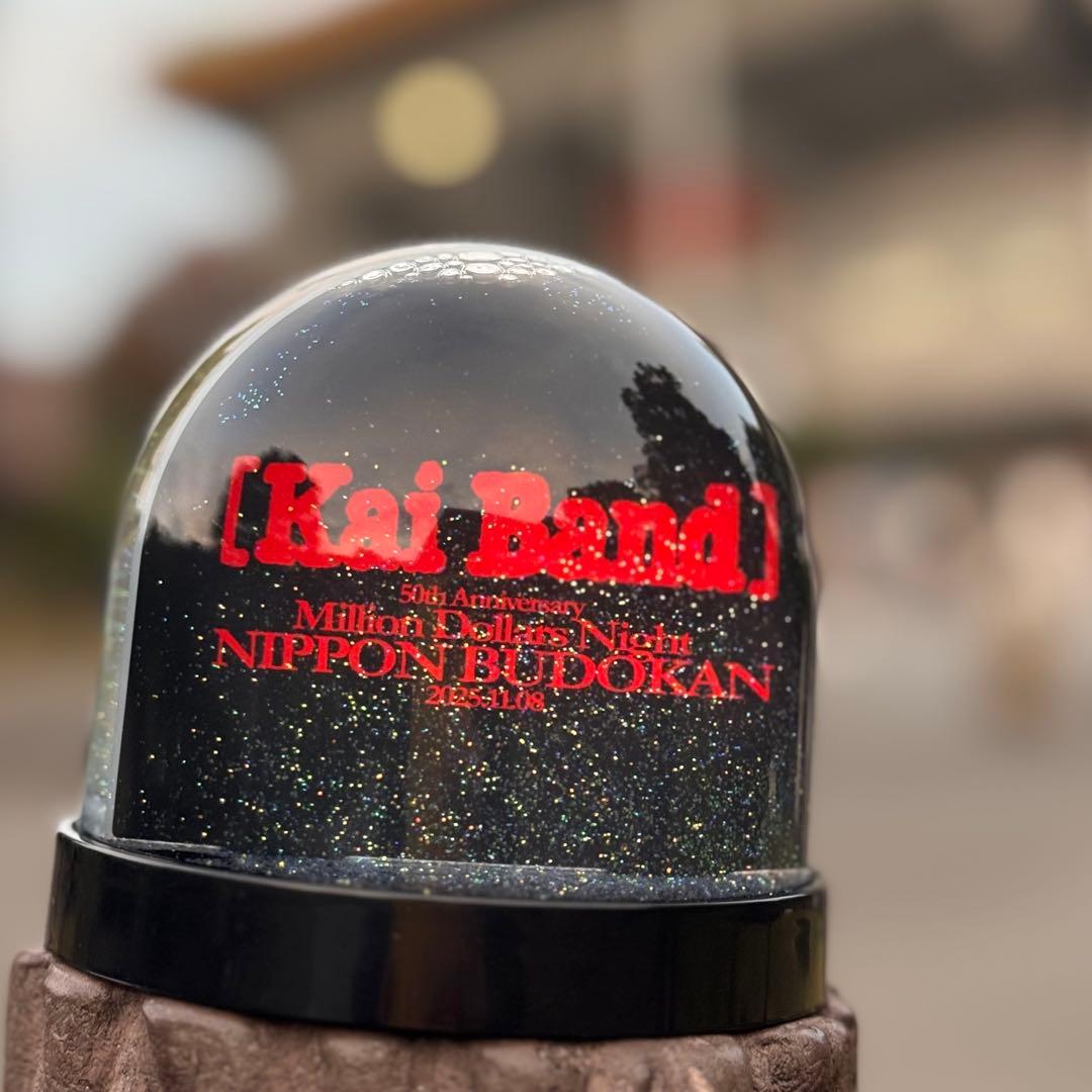 【限定・非売品】甲斐バンド 武道館ライブVIP特典 スノードーム