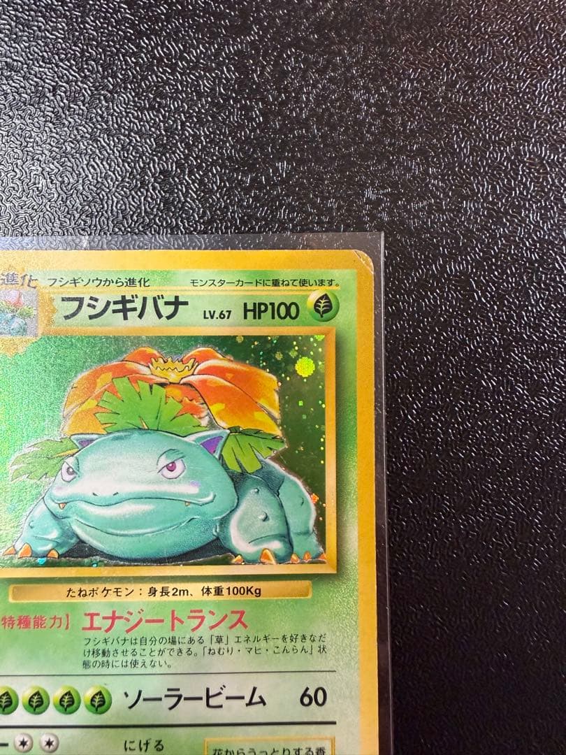 フシギバナ　旧裏 初版 (第1弾初版・マーク無し) ポケモンカード