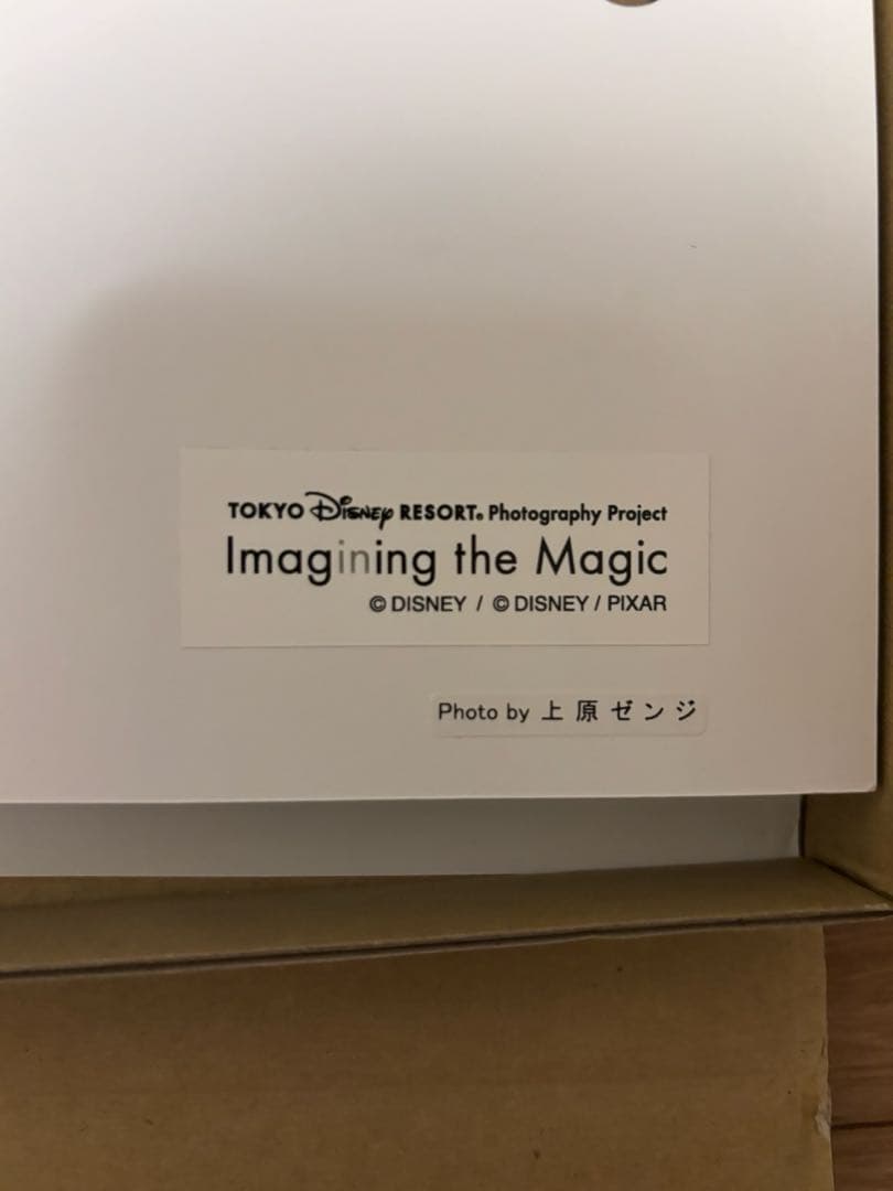 レア　ディズニー　イマジニングザマジック　アート　パネル　魚眼レンズ