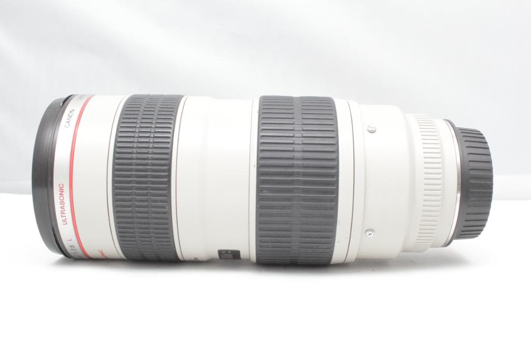 棘 (トゲ) Canon EF 70-200mm 1:2.8 L