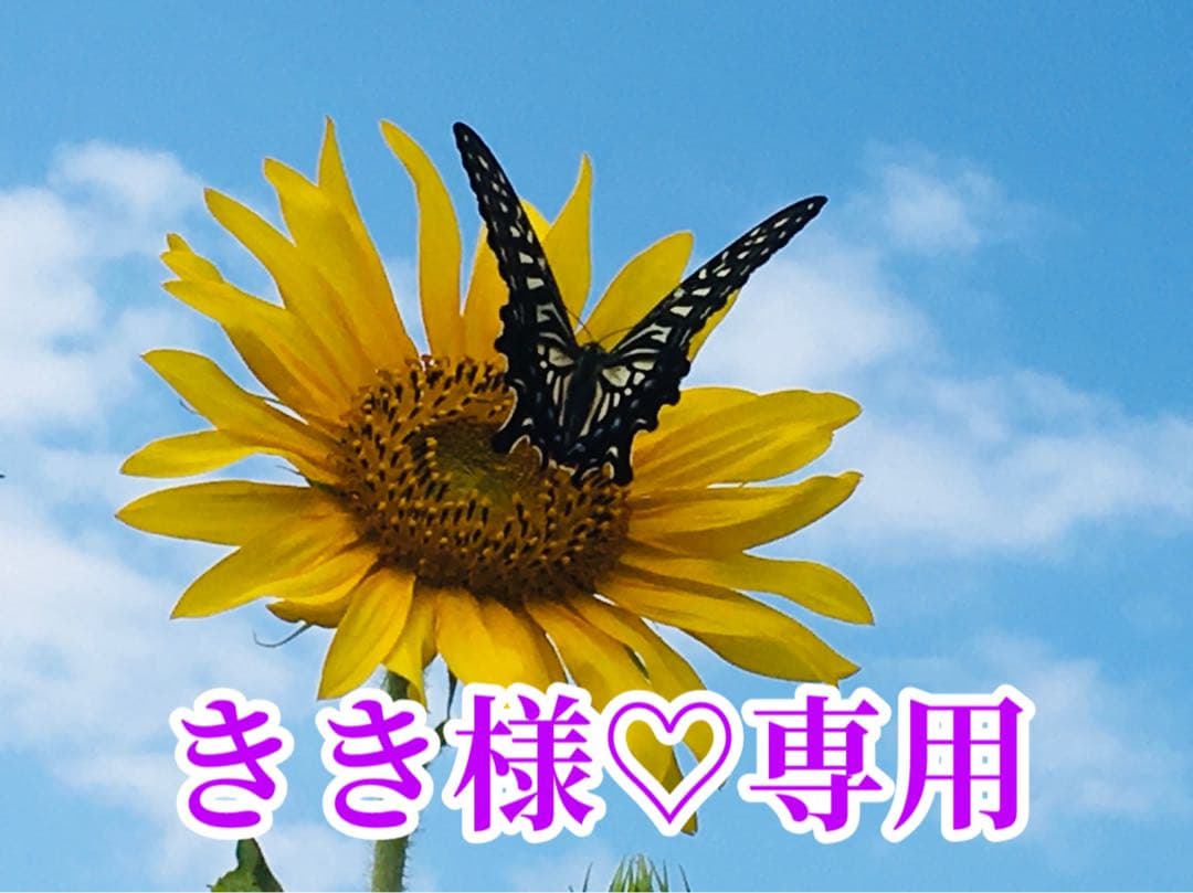 きき様❤️おまとめ専用ページです。3/15まで♡