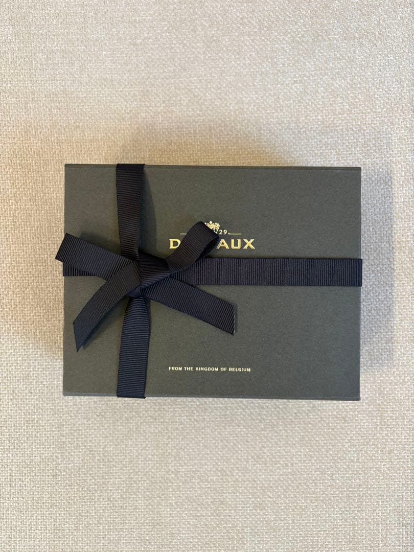 DELVAUX パンDマルチファンクション 新品未使用品 都内百貨店 5月購入