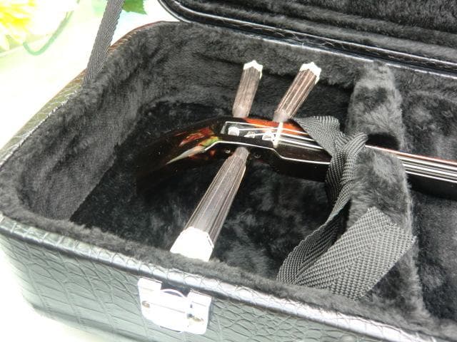 新品未使用(送料無料)11.980円　沖縄三線専用　一丁入ふかふかハードケース