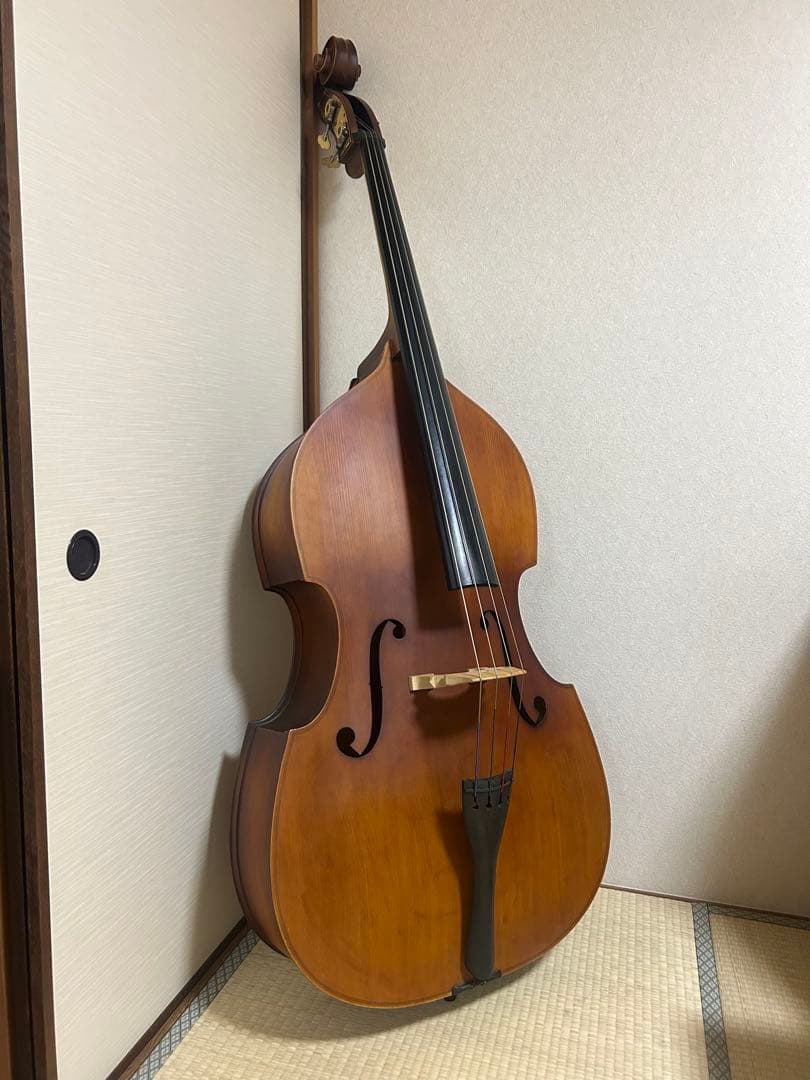 【関西での手渡し】ハルシュタット コントラバス WBS-800