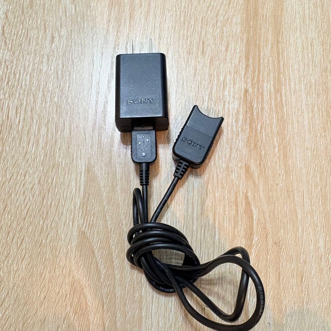 【スピード発送】動作確認済みSONYハンディカム　HDR-PJ675