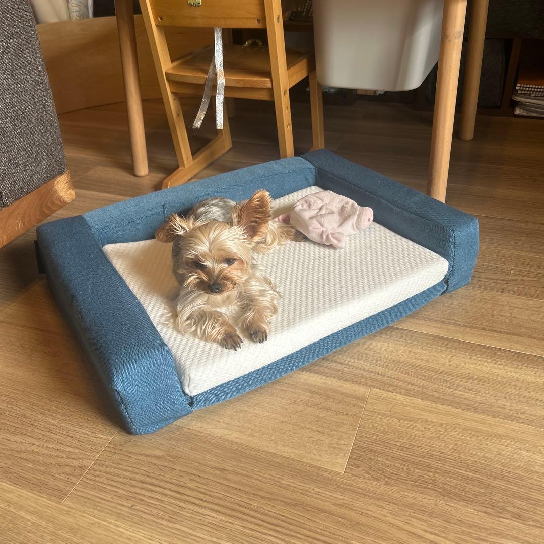 ☆期間限定☆新品☆未開封品❗️コアラマットレス ペット用 ベッド KUDDLE