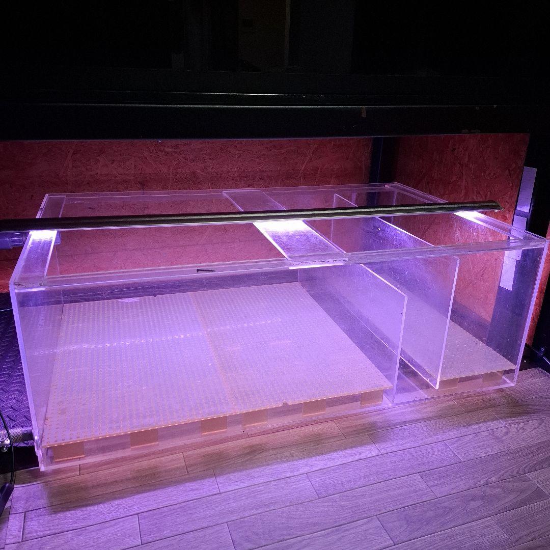 茨城　ろ過層　アクリル水槽　1000×600×350