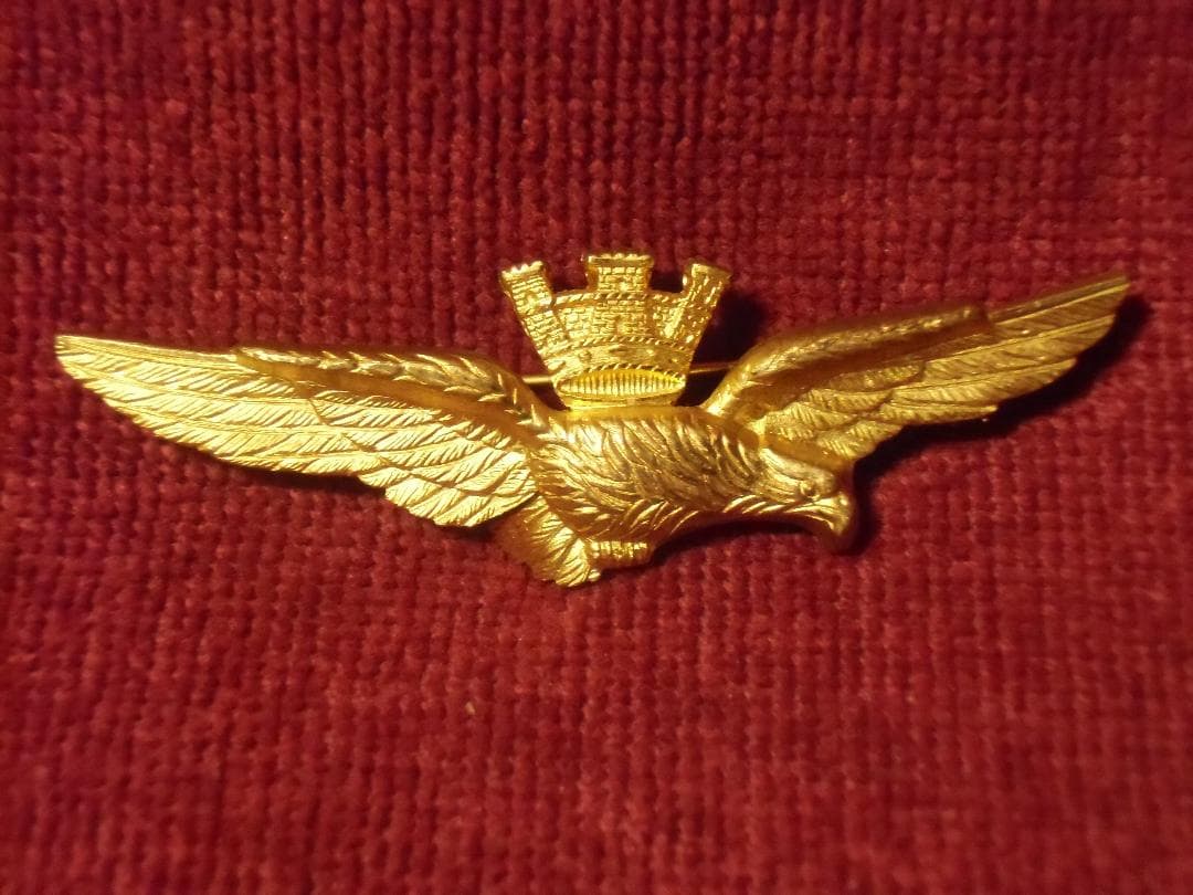 Ｉイタリア軍＊空軍＊パイロット章（実物）