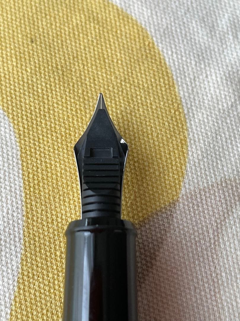 プラチナ万年筆　漆黒　闇鋭竹虎王図