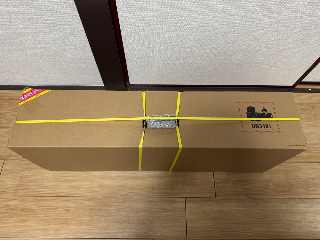 ダイソン SV33 FF PL DYSON SV33 FF PL