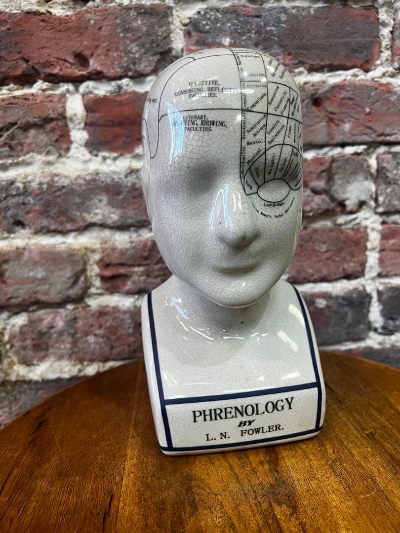 フランスアンティーク　標本　オブジェ　ビンテージ　陶器