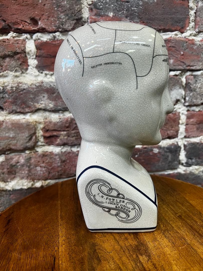 フランスアンティーク　標本　オブジェ　ビンテージ　陶器