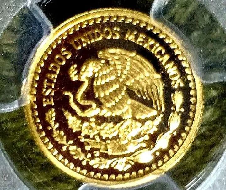 PCGS 2022 最高鑑定　PR70 DCAM 1/10oz　世界38枚