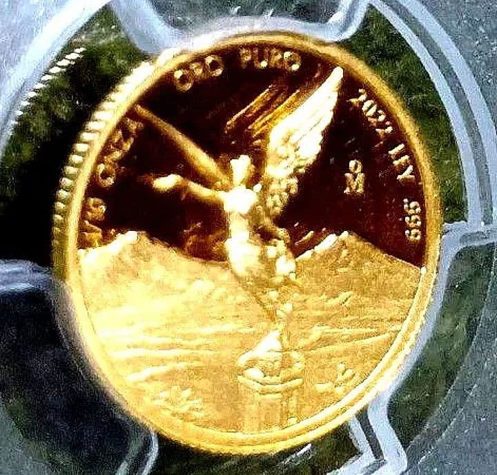 PCGS 2022 最高鑑定　PR70 DCAM 1/10oz　世界38枚