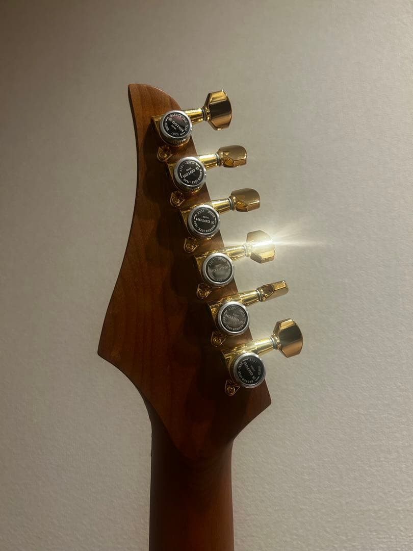 Bacchus BTE-1DX RSM MOD テレキャスター suhr