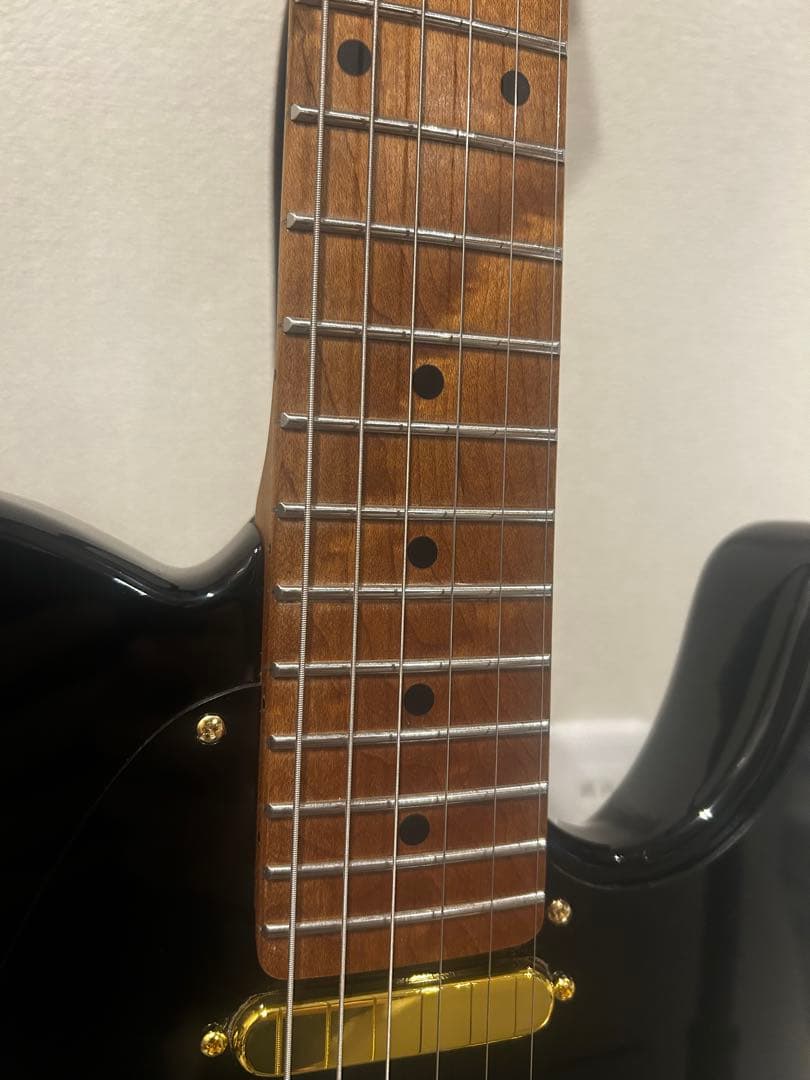 Bacchus BTE-1DX RSM MOD テレキャスター suhr