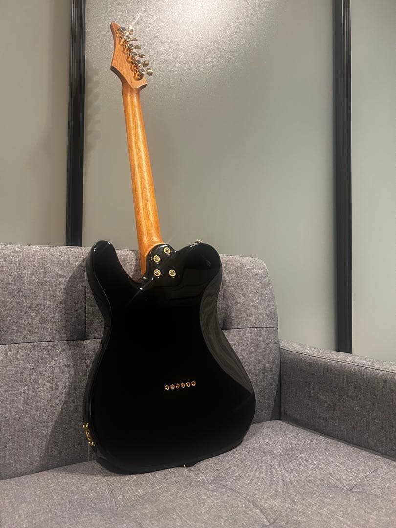 Bacchus BTE-1DX RSM MOD テレキャスター suhr