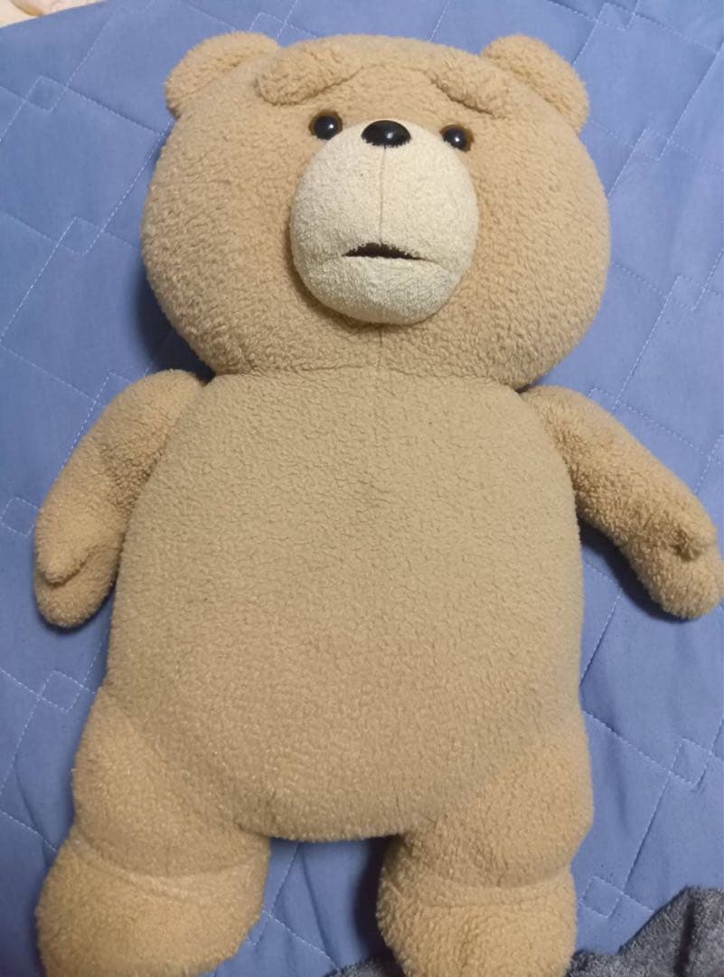 とてもかわいいted ぬいぐるみ