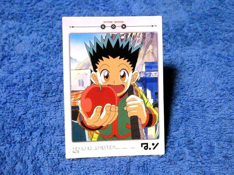 ハンターハンター　HUNTER×HUNTER カード ゴン NO.13
