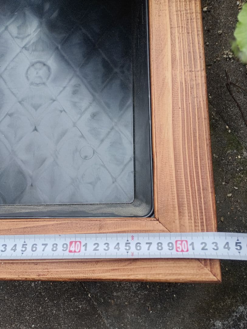 水換えの要らないトロ舟40 ビオトープ