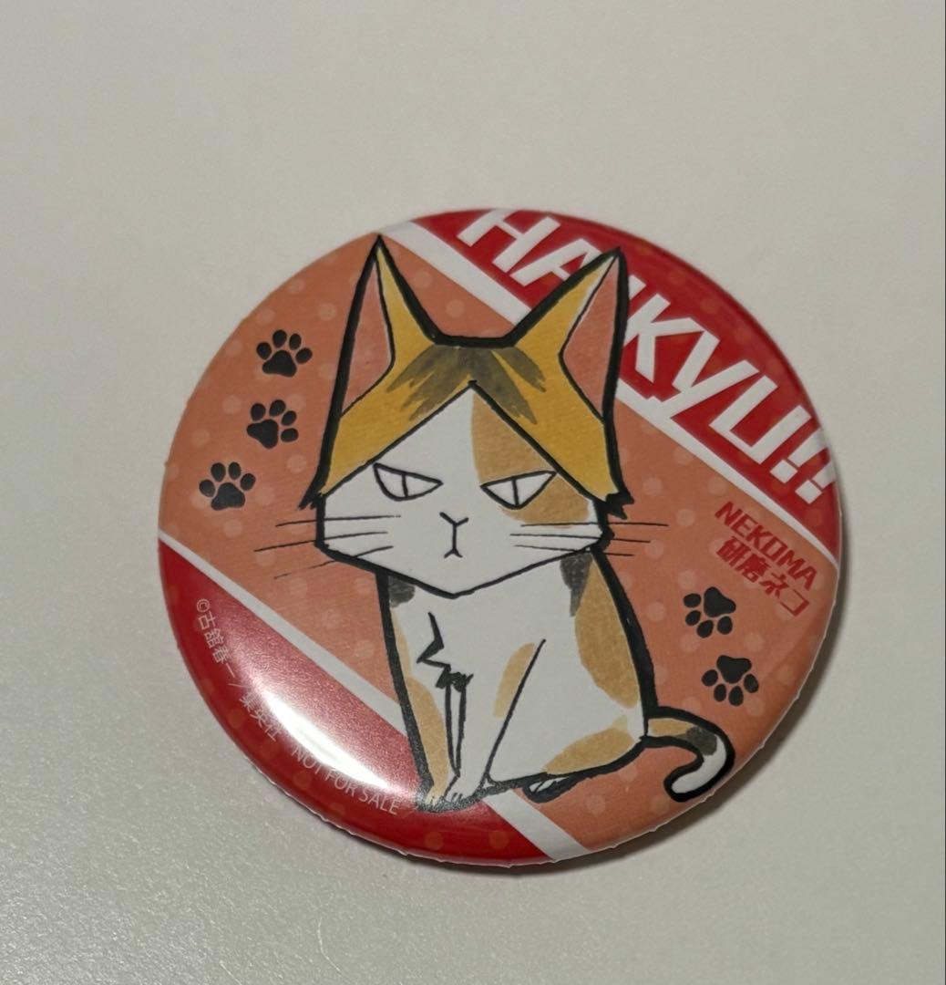 孤爪 研磨 ネコ 猫 ジャンプGIGA ジャンプギガ vol.4