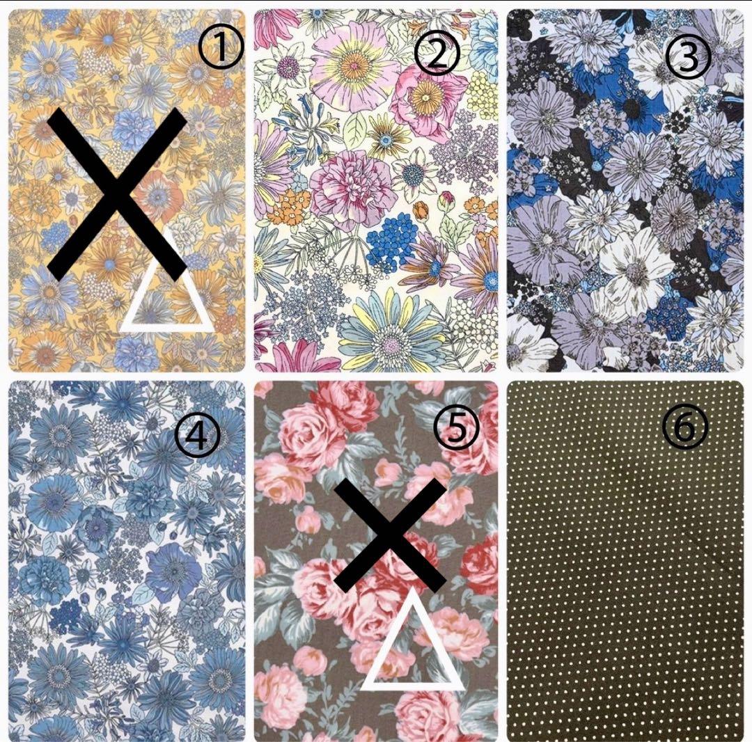 しーちきんページエヴリンtpmサイズバッグインバッグ