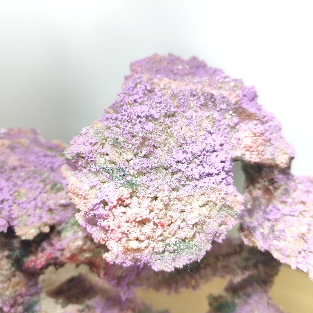 ❖新品アク抜き不要 人工ライブロック 60cm海水水槽用 レプリカ 多孔質安い2