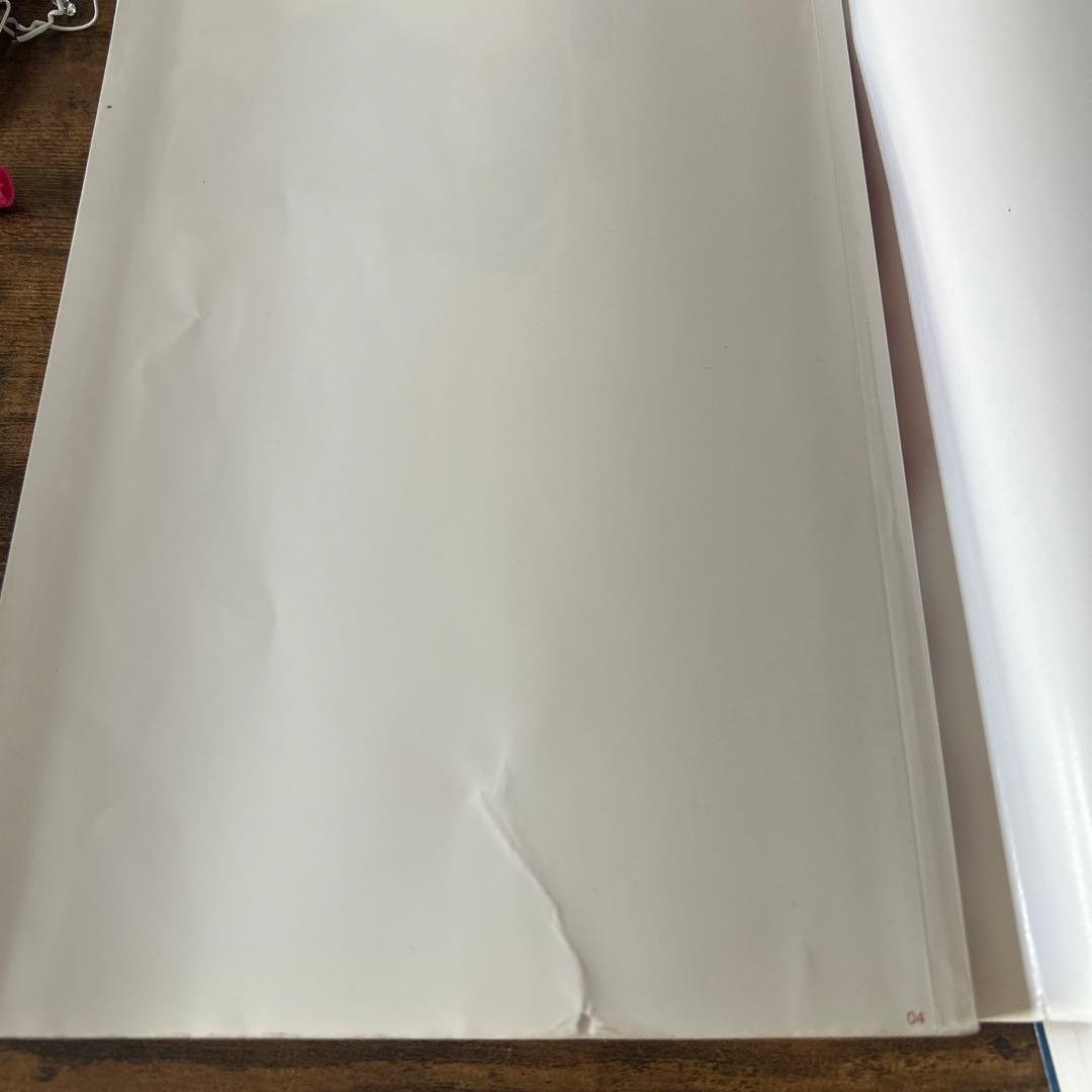 ボルハルト・ショアー現代有機化学 上下 上 下 セット 第8版