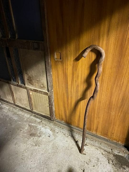 珍品【ゼ◯スの杖】