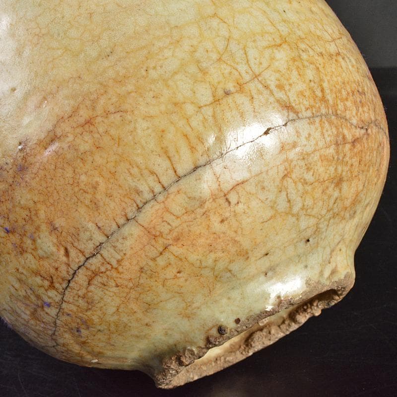 朝鮮美術　李朝　高麗白磁　染付　徳利　M　R6969B