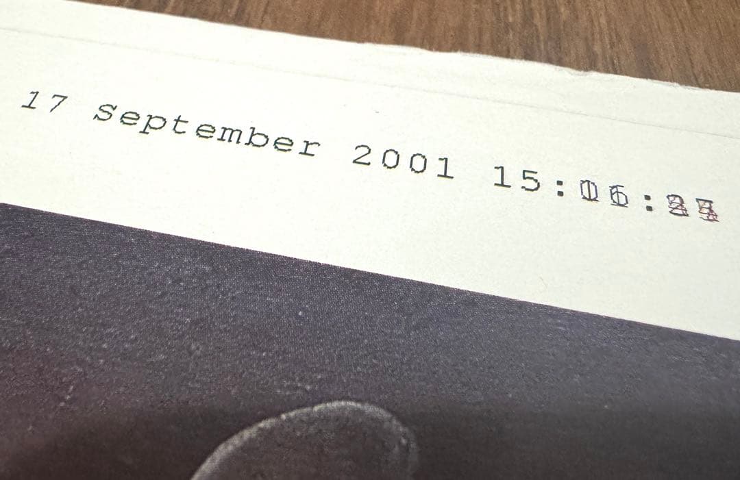 貴重★ ヤンシュヴァンクマイエル/アリス ポスター アンダーカバー