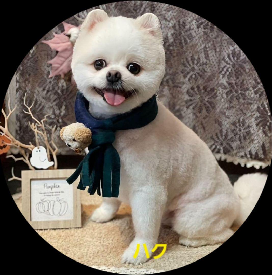 FaFa！キーホルダー