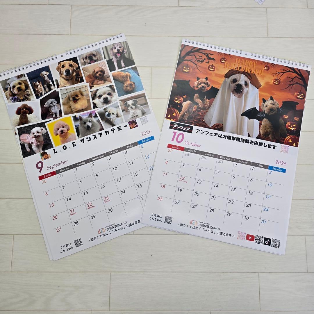 ②『犬』 壁掛けチャリティーカレンダー10枚セット
