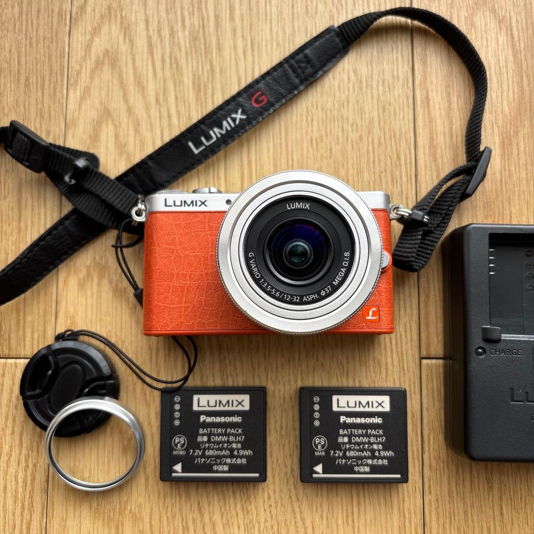 パナソニック LUMIX DMC-GM1