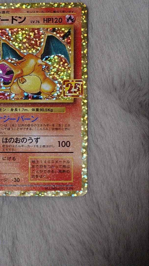 ぬ*ま様 リザードン ガブリアス　25周年