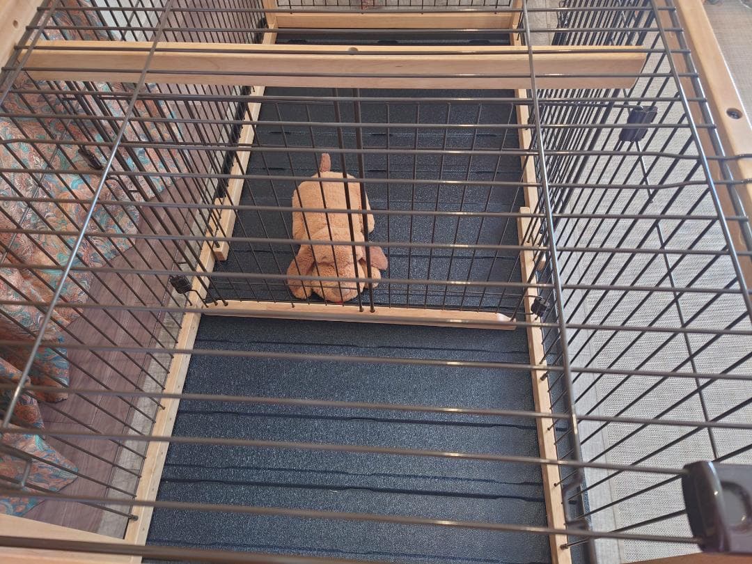 リッチェル木製スライドペットサークル ワイド 小～中型犬用【ナチュラル】屋根付き