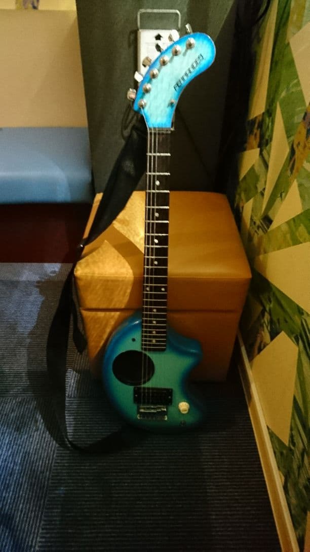 エレキギター ぞーさん