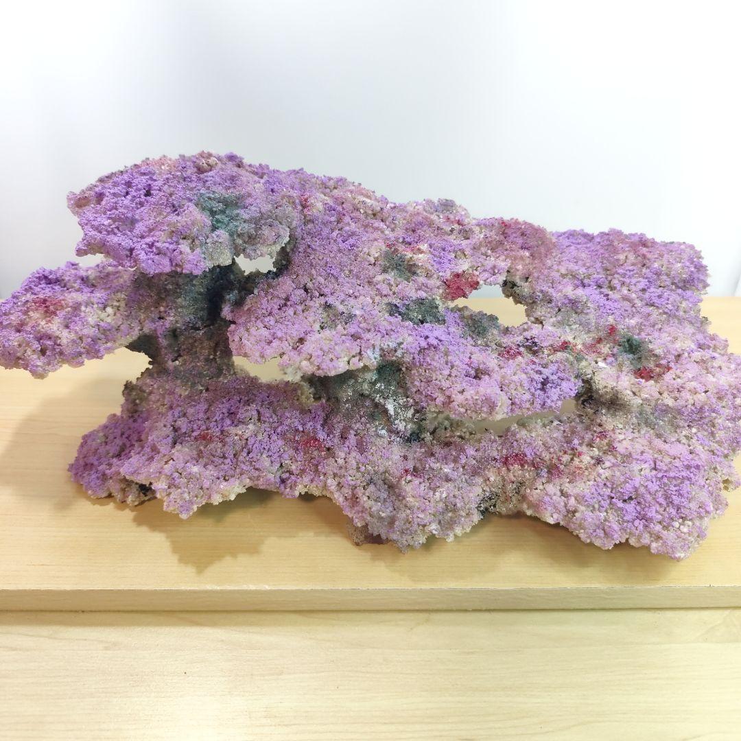 ❖新品アク抜き不要 人工ライブロック 60cm海水水槽用 レプリカ 多孔質安い5