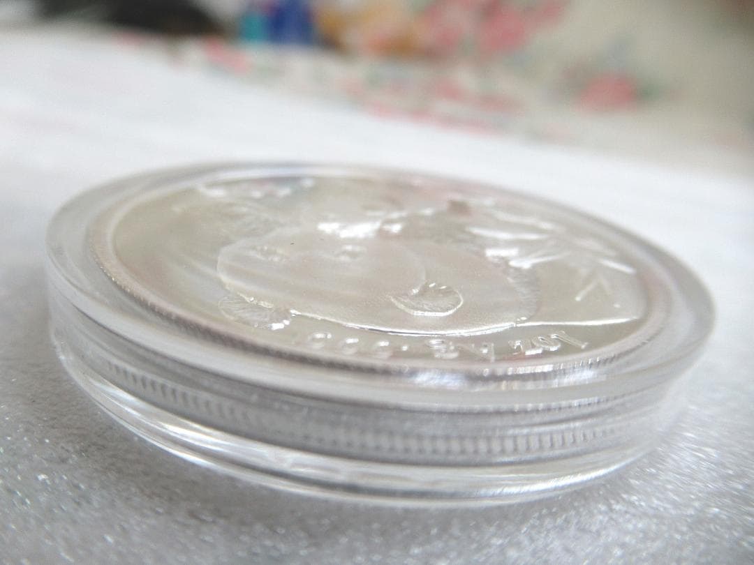 中国 パンダ  2004年 銀貨 純銀 10元 Ag999 1オンス１oz
