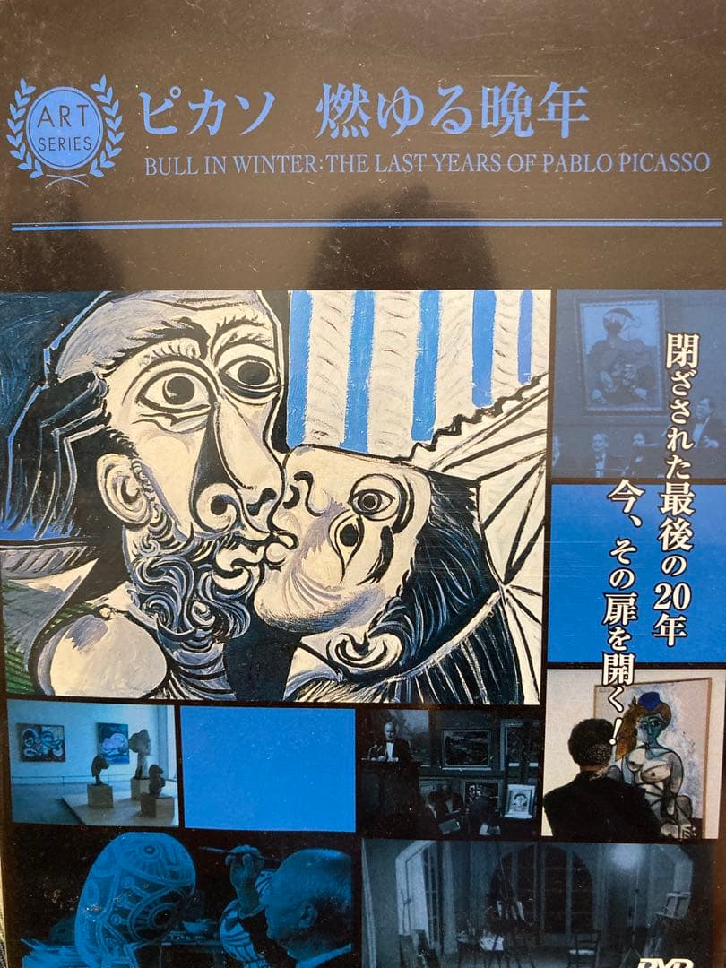 ピカソ　dvd