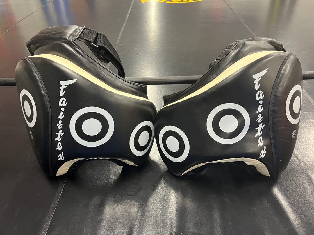 Fairtex Fairtex フェアテックス ローキック用タイパッド　黒