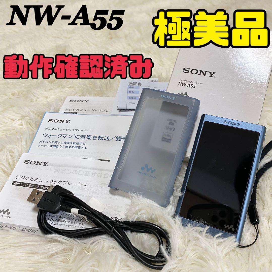【極美品】【動作OK】SONY ウォークマン NW-A55 付属品完備 SD付