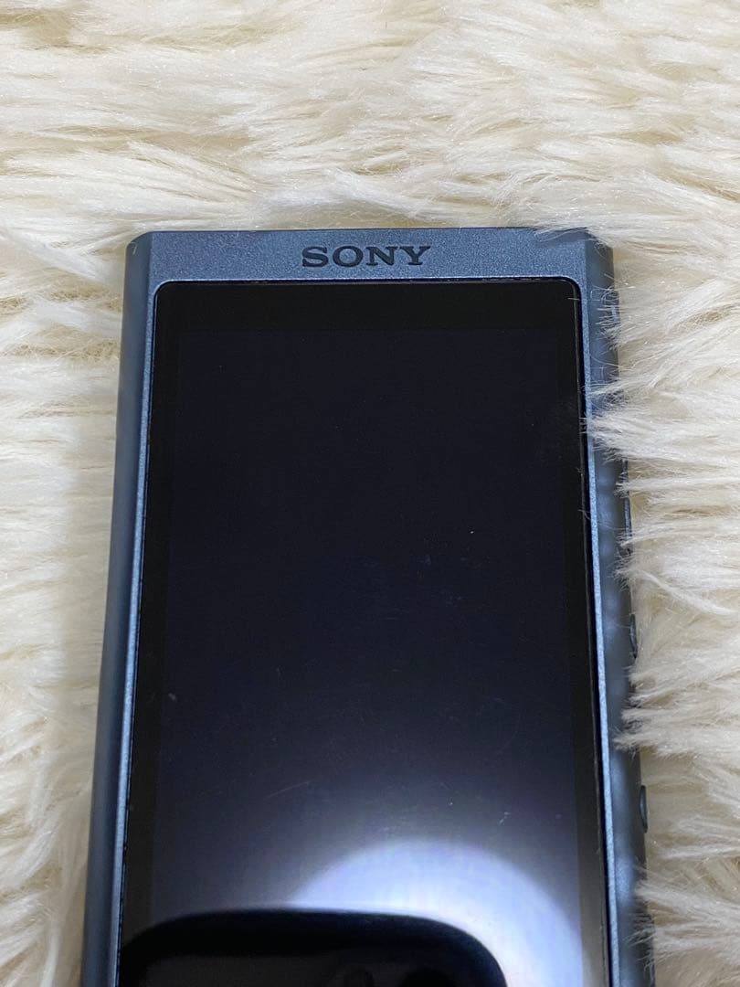 【極美品】【動作OK】SONY ウォークマン NW-A55 付属品完備 SD付