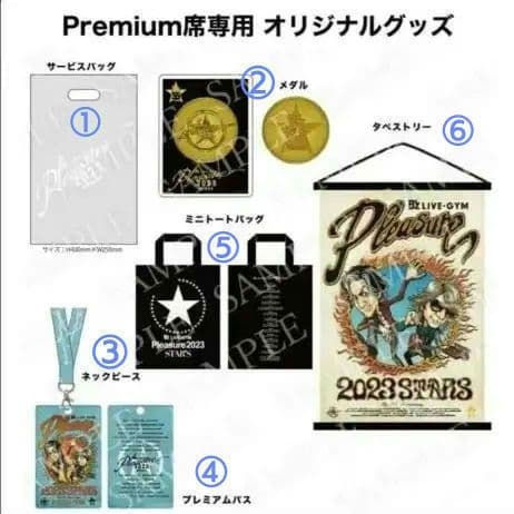 B'z pleasure 2023 PREMIUM席限定グッズ＋おまけ3点