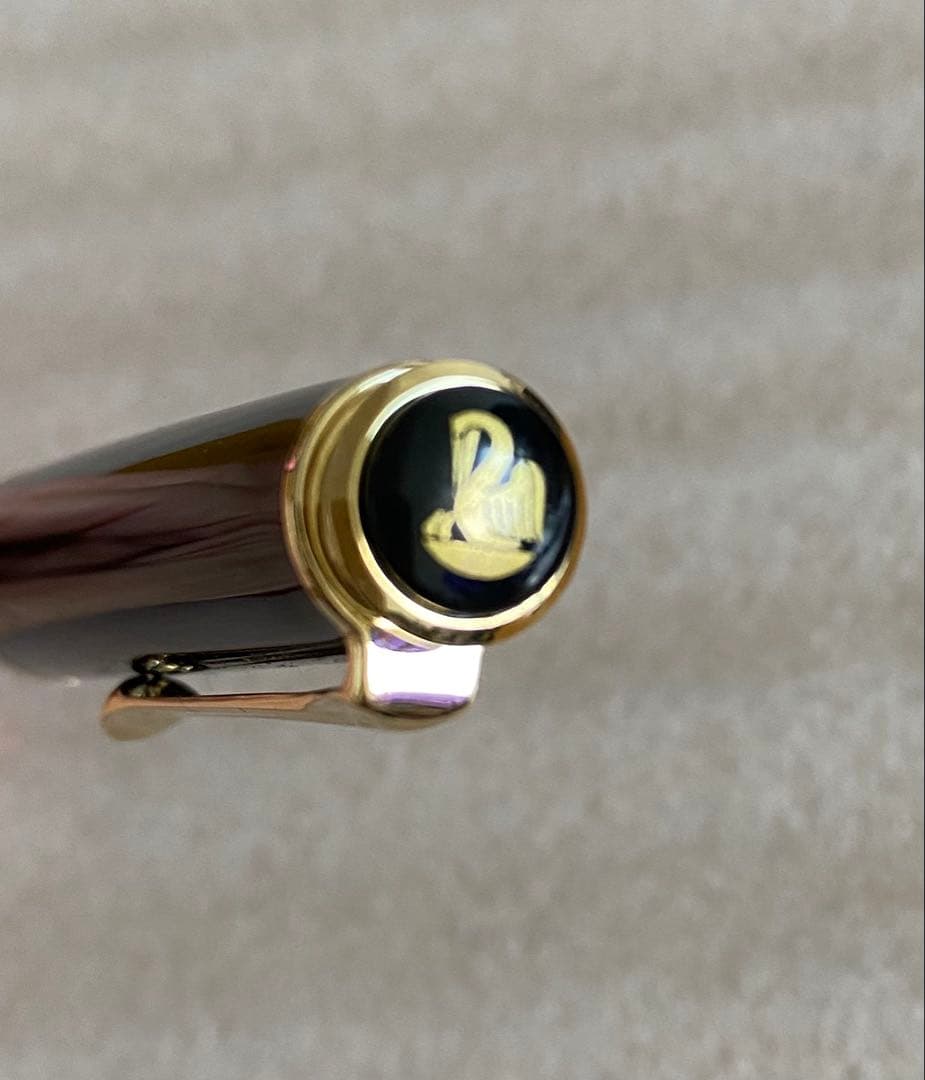 Pelikan（ペリカン）万年筆 スーベレーン M600 ➕ケース